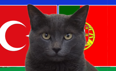 Mèo tiên tri dự đoán Thổ Nhĩ Kỳ vs Bồ Đào Nha, 23h ngày 22/6, Euro 2024