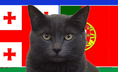 Mèo tiên tri dự đoán Georgia vs Bồ Đào Nha, 2h ngày 27/6, Euro 2024