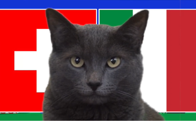Mèo tiên tri dự đoán Thụy Sĩ vs Italia, 23h ngày 29/6, Euro 2024