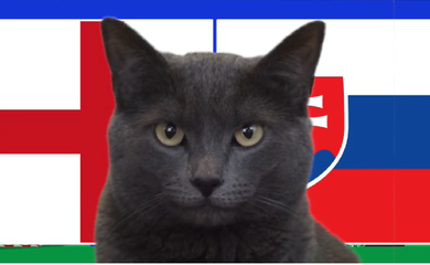 Mèo tiên tri dự đoán Anh vs Slovakia, 23h ngày 30/6, Euro 2024