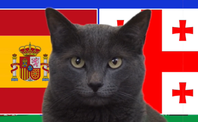 Mèo tiên tri dự đoán Tây Ban Nha vs Georgia, 2h ngày 1/7, Euro 2024