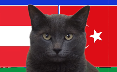 Mèo tiên tri dự đoán Áo vs Thổ Nhĩ Kỳ, 2h ngày 3/7, Euro 2024