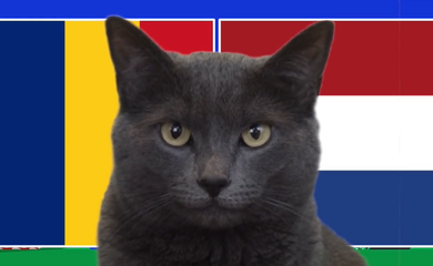 Mèo tiên tri dự đoán Romania vs Hà Lan, 23h ngày 2/7, Euro 2024