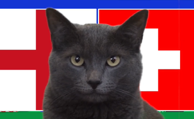 Mèo tiên tri dự đoán Anh vs Thụy Sĩ, 23h ngày 6/7, Euro 2024