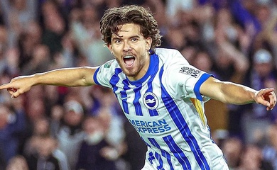 Dự đoán Brighton vs Nottingham, 20h00 ngày 22/9, Ngoại hạng Anh 2024/25