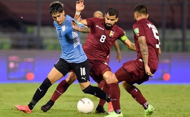 Dự đoán Peru vs Uruguay, 8h00 ngày 12/10, Vòng loại World Cup 2026