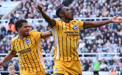 Dự đoán Brighton vs Wolves, 21h00 ngày 26/10, Ngoại hạng Anh 2024/25