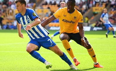 Nhận định bóng đá Brighton vs Wolves: Tiếp cận top 2