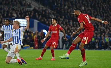 Dự đoán Liverpool vs Brighton, 22h00 ngày 2/11, Ngoại hạng Anh 2024/25