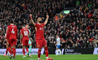 Tỷ lệ bóng đá trận Liverpool vs Leverkusen, 3h00 ngày 6/11, Cúp C1 châu Âu