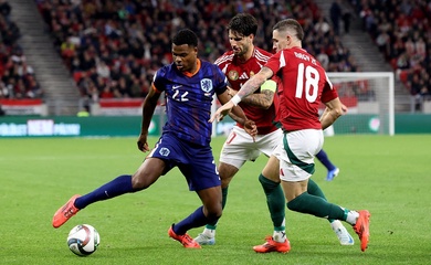 Dự đoán Hà Lan vs Hungary, 2h45 ngày 17/11, Nations League