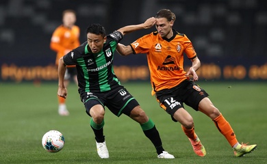 Dự đoán Brisbane Roar vs Central Coast Mariners, 15h35 ngày 3/1, VĐQG Australia 2024/25