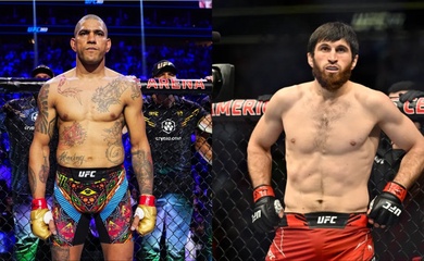 Magomed Ankalaev: Alex Pereira vừa "ký giấy chứng tử" tại UFC 313