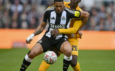 Nhận định bóng đá Brighton vs Newcastle: Đảm bảo top 3