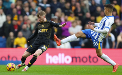 Nhận định bóng đá Wolves vs Brighton: Trở lại mạch thăng hoa