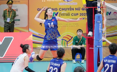Link trực tiếp giải bóng chuyền VTV Cup hôm nay 30/6