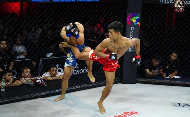 Võ sĩ nhập viện phẫu thuật gan sau cú đá knockout ở LION Championship