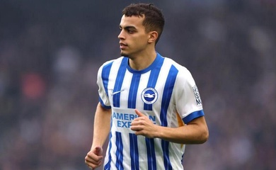Đội hình Brighton 2025/2026: Danh sách, số áo cầu thủ chi tiết