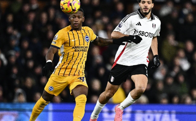 Nhận định, soi kèo Brighton vs Fulham: Chim mòng biển bay cao