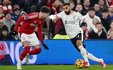 Trận đấu then chốt của mùa giải Wolves vs Everton - Cuộc chiến quyết định danh dự và suất trụ hạng