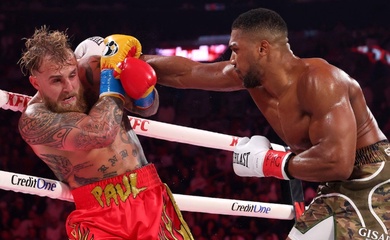 Jake Paul thừa nhận sai lầm trước Anthony Joshua, công kích Francis Ngannou