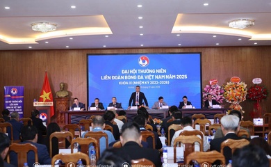 Chấm dứt tư cách thành viên VFF với 8 CLB, bãi nhiệm cựu Chủ tịch Cao Tiến Đoan