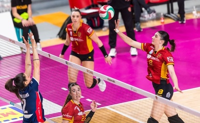 LE Wolves gục ngã trên sân nhà trước Concorezzo tại Serie A