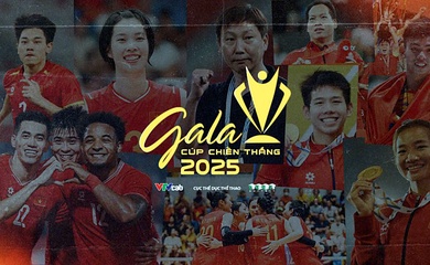 Danh sách các hạng mục đề cử giải thưởng Cúp Chiến thắng 2025
