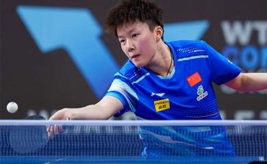 Những ngôi sao bóng bàn thế giới góp mặt tại WTT Contender Muscat 2026