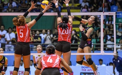 PVL bác đề xuất sáp nhập lực lượng giữa NXLED và Petro Gazz