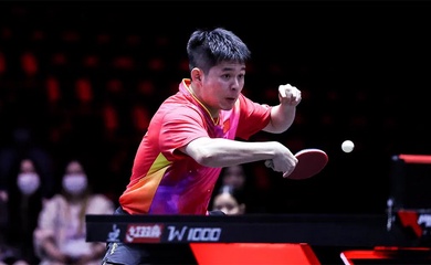 Bóng bàn Trung Quốc sa sút đầu 2026: Hiện tượng nhất thời hay vấn đề hệ thống?