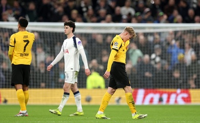 Dự đoán Union Berlin vs Dortmund, 0h30 ngày 25/1, Bundesliga 2025/26