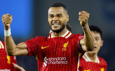 Nhận định, soi kèo Liverpool vs Brighton: Điểm tựa Anfield