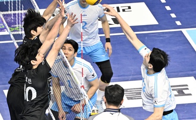 Korean Air và Hyundai Capital tạo cuộc đua song mã hấp dẫn giải bóng chuyền VĐQG Hàn Quốc