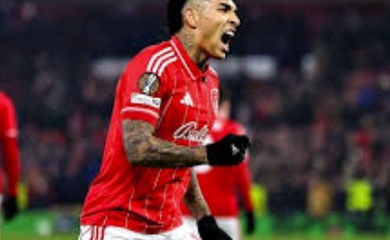 Nhận định, soi kèo Johor Darul Tazim vs Sanfrecce Hiroshima: Khó phân thắng bại