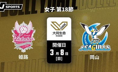 Highlight giải bóng chuyền VĐQG Nhật Bản: Bích Thuỷ ghi điểm xuất sắc nhất Okayama Seagulls