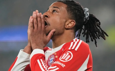 Olise của Bayern có thể bị treo giò ở tứ kết Champions League do "tẩy thẻ"
