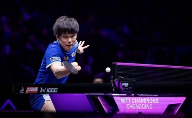 Harimoto hạ Lin Yun-Ju, sao trẻ Wen Ruibo thách thức “số 1 bóng bàn Nhật Bản” tại bán kết WTT Chongqing