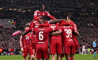 Dự đoán Brighton vs Liverpool, 19h30 ngày 21/3, Ngoại hạng Anh 2025/26