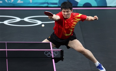 Phá vỡ giới hạn tốc độ: Cách Fan Zhendong định nghĩa lại chiến thuật bóng bàn hiện đại