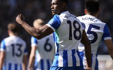 Nhận định, soi kèo Tottenham vs Brighton: Gà trống bên bờ vực thẳm