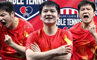 Fan Zhendong và “cú hích” toàn cầu hóa của bóng bàn: Khi siêu sao bước ra khỏi khuôn khổ thi đấu