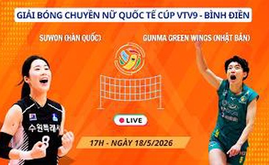 Link trực tiếp cúp bóng chuyền VTV9 Bình Điền hôm nay 18/5: Gunma Green Wings vs Suwon City
