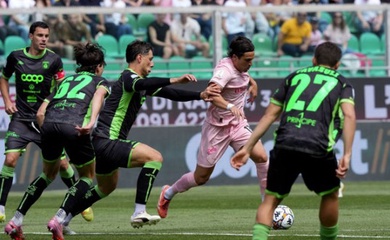 Nhận định, soi kèo Palermo vs Catanzaro: Mệnh lệnh tấn công