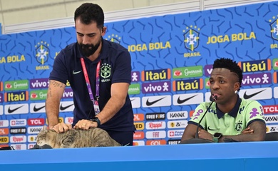 “Lời nguyền của con mèo”: giả thuyết được nhắc lại sau khi Brazil bị Na Uy loại khỏi World Cup