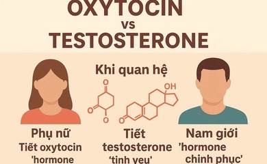 Tình dục và thể thao thành tích cao qua góc nhìn huấn luyện tâm lý