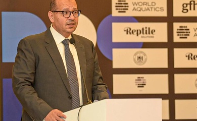 Kình ngư nhí đuối nước 10 phút không ai hay: Lãnh đạo Liên đoàn Bơi lội Ai Cập hầu tòa