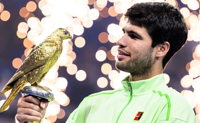 Carlos Alcaraz vô địch quần vợt Doha 2026: Giải mã "cỗ máy in tiền" và tư duy quản trị đỉnh cao của số 1 thế giới