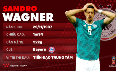 Thông tin cầu thủ Sandro Wagner của ĐT Đức dự World Cup 2018
