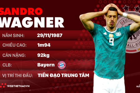 Thông tin cầu thủ Sandro Wagner của ĐT Đức dự World Cup 2018